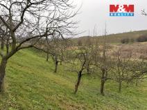 Prodej zahrady, Bezuchov, 901 m2