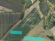 Prodej pole, Horky, 59562 m2