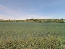 Prodej pole, Horky nad Jizerou, 4398 m2