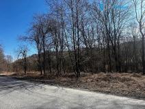 Prodej pozemku pro bydlení, Budišov nad Budišovkou, 556 m2