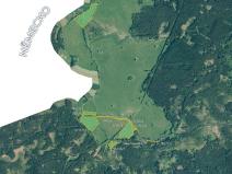 Prodej podílu louky, Halže, 113420 m2