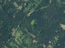 Prodej podílu louky, Halže, 113420 m2