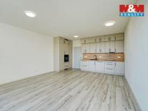 Pronájem bytu 1+kk, Plzeň, 45 m2