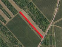 Prodej zahrady, Velké Bílovice, 3450 m2