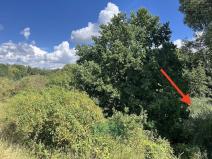 Prodej louky, Praha - Královice, 698 m2