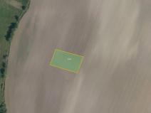 Prodej pole, Vlčí Habřina, 19647 m2