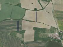 Prodej pole, Podluhy, 19084 m2