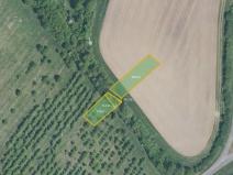 Prodej pole, Hoštice, 17754 m2