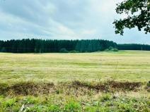 Prodej louky, Herálec, 35197 m2