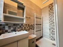 Prodej bytu 1+1, Opava, Sokolovská, 47 m2