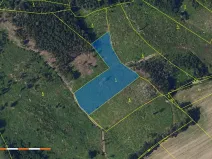 Prodej lesa, Česká Bělá, 6755 m2