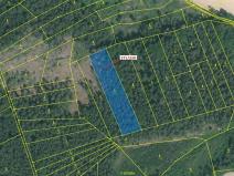 Dražba lesa, Milavče, 3695 m2