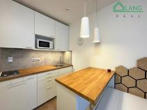 Pronájem bytu 1+kk, Brno, Francouzská, 18 m2