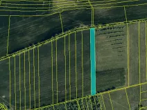 Prodej pole, Roštín, 12575 m2