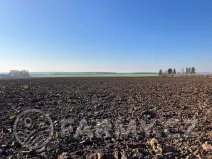 Prodej pole, Střezetice, 28205 m2