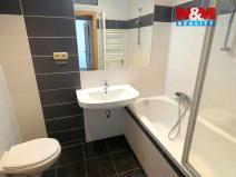 Pronájem bytu 1+kk, Ostrava - Krásné Pole, Družební, 30 m2