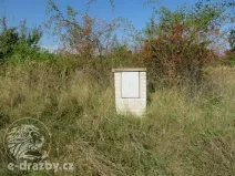 Dražba zahrady, Grunta, 901 m2