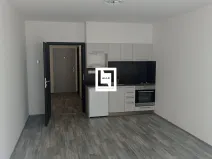Pronájem bytu 1+kk, Olomouc, Wellnerova, 35 m2