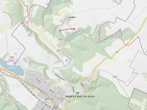 Dražba lesa, Náměšť nad Oslavou, 1796 m2