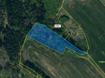 Dražba lesa, Náměšť nad Oslavou, 3646 m2