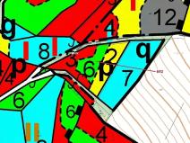 Dražba lesa, Kuřimany, 2947 m2