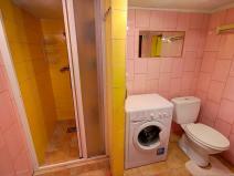 Pronájem rodinného domu, Opatovice, Sportovní, 76 m2