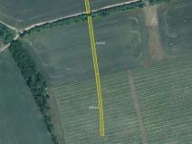 Prodej pole, Milotice, 7763 m2