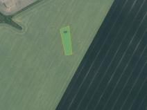 Prodej pole, Děčany, 4184 m2