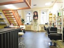 Prodej bytu 2+1, Brno, Hybešova, 79 m2