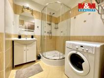 Pronájem bytu 1+1, Teplice, Alejní, 39 m2