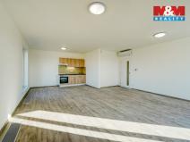 Pronájem bytu 3+kk, Plzeň - Východní Předměstí, Železniční, 96 m2