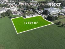 Prodej komerčního pozemku, Horní Planá, 12594 m2
