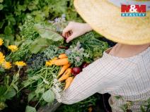 Prodej komerčního pozemku, Sušice - Divišov, 4292 m2