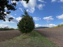 Prodej pozemku, Lánov - Horní Lánov, 4009 m2