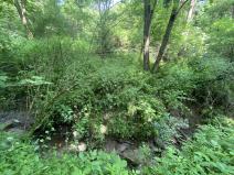 Prodej lesa, Slavičky - Pozďátky, 6551 m2