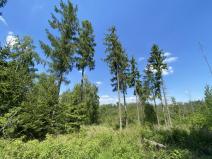 Prodej lesa, Kropáčova Vrutice - Sušno, 15167 m2