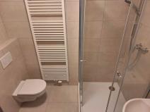 Pronájem bytu 1+kk, Přáslavice, 29 m2