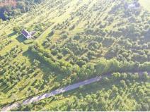 Prodej sadu/vinice, Troskovice, 8502 m2