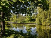 Prodej kanceláře, Hradec Králové, Pospíšilova, 95 m2