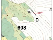 Prodej lesa, Vyskytná, 1907 m2