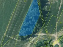 Prodej lesa, Nová Bystřice, 3201 m2