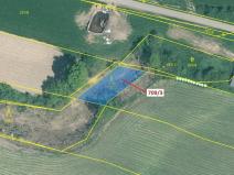 Dražba lesa, Osek, 301 m2