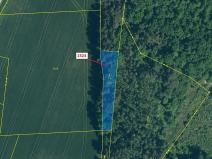 Dražba lesa, Hradiště, 645 m2