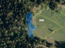 Dražba lesa, Zděchov, 697 m2