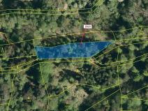 Dražba lesa, Zděchov, 867 m2