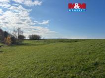 Prodej louky, Žichlínek, 5000 m2