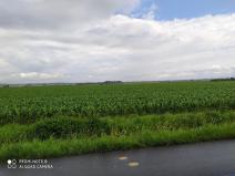 Prodej komerčního pozemku, Dolní Roveň, 13103 m2