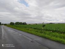 Prodej komerčního pozemku, Dolní Roveň, 13103 m2