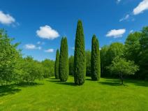 Prodej pozemku, Strančice, 1000 m2