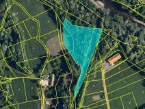 Dražba pozemku, Vendryně, 8903 m2